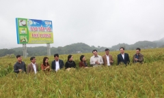 Huyện Phú Lương, Thái Nguyên: “Quả ngọt” sau hơn 10 năm xây dựng Nông thôn mới 