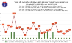 Tin tức COVID-19 ngày 8/11: Cả nước có 442 ca mắc mới 