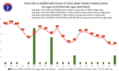 Bản tin COVID-19 ngày 20/6: Việt Nam ghi nhận thêm 521 ca mắc mới