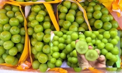 Sự thật nho “quý tộc” nhập khẩu tiền triệu giá chỉ còn 40.000 đồng/kg