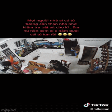 Tủ bếp đang yên lành bồng rơi vỡ tan tành, cô gái thoát chết trong gang tấc