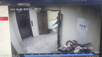 Video: Nam thanh niên cứu chú chó khỏi