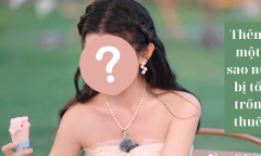 Sau Tống Tổ Nhi, thêm một sao nữ bị tố trốn thuế hàng chục tỷ