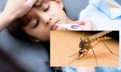 Hà Nội có ca mắc viêm não Nhật Bản đầu tiên, cha mẹ cần lưu ý điều gì?