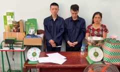 TP.HCM: Triệt phá đường dây trồng, đóng gói cần sa khép kín