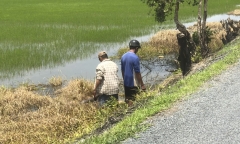 Vụ đi xe đạp tự té xuống ruộng tử vong: Nạn nhân nghiện ma túy, có tiền sử bệnh thần kinh