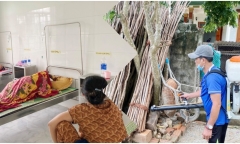 Sốt xuất huyết diễn biến phức tạp, ngành y tế Quảng Bình chủ động các biện pháp khống chế