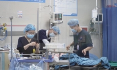 Tin tức đời sống ngày 8/3: Người phụ nữ 31 tuổi nguy kịch sau khi đâm phải chó thả rông 