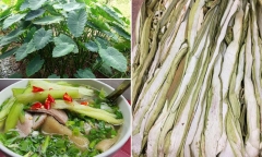 Loại cây chỉ hái cho lợn ăn bỗng “lên đời” thành đặc sản đắt đỏ