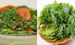 Cải cúc được ví như vị thuốc, giúp tăng cường sức khỏe mùa lạnh nhưng 