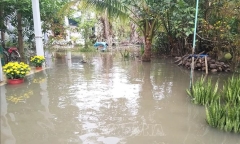Tin thời sự mới nóng nhất 26/1: Triều cường bất ngờ dâng cao, nhiều nơi ở Bến Tre bị ngập sâu