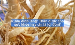 Rượu đinh lăng: Thần dược cho sức khỏe hay chỉ là lời đồn?
