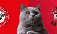 Alisson bị đồng đội 