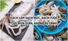 Bật mí cách làm sạch mực, bạch tuộc cực nhanh gọn và đơn giản