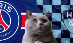 Nhận định soi kèo trận Le Havre-PSG, Ligue 1 2024/25 1h45 ngày 17/8: Mèo tiên tri chọn điều tất yếu