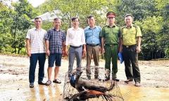 Người dân giao loài chim quý hiếm, có bộ lông kiêu sa rực rỡ cho VGQ Vũ Quang