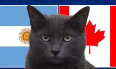 Nhận định soi kèo trận Argentina vs Canada, Copa America 2024 7h ngày 10/7: Mèo Cass thiên vị Messi