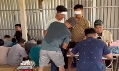 Vụ đột kích ổ đá gà 