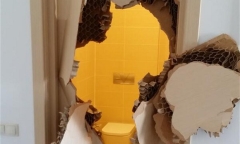 Bi hài VĐV bị “nhốt” trong toilet tại Olympic Sochi