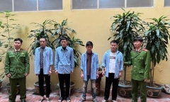 Tin tức pháp luật mới nhất ngày 25/3: Bắt nhóm đối tượng giả danh xe ôm công nghệ, phá khoá trộm xe Dream