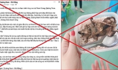 Vụ đăng ảnh sai sự thật 