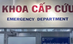Ăn hạt cây củ đậu, ba bố con phải vào viện cấp cứu vì có biểu hiện ngộ độc