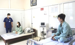 Quảng Ninh: Hai vợ chồng nhập viện sau khi ăn ốc biển có độc