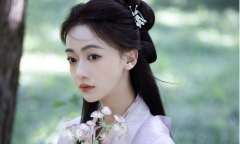 Ngô Cẩn Ngôn: Sự nghiệp 