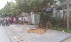 4 vụ tử vong chưa rõ nguyên nhân ở Hải Dương: 2 gia đình đề nghị không khám nghiệm tử thi