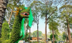 Cư dân mạng xôn xao về cặp rồng 