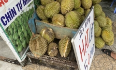 Thực hư sầu riêng rớt giá xuống 50.000 đồng/kg ở TP.HCM