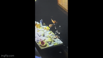 Người phụ nữ đòi bồi thường vì có sợi tóc trong nồi lẩu, chủ nhà hàng sốc nặng khi xem camera