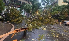 Bão số 3 Wipha gây gió mạnh, mưa lớn và nguy cơ ngập úng tại Hà Nội