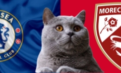 Dự đoán kết quả trận Chelsea vs Morecambe, FA Cup 22h ngày 11/1: Mèo tiên tri chọn The Blues