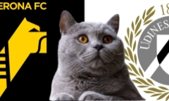 Dự đoán kết quả trận Verona vs Udinese, Serie A 2h45 ngày 5/1: Mèo tiên tri chọn nhanh