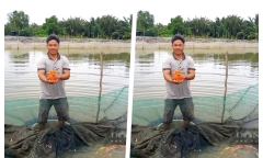 Anh nông dân mỗi năm thu nửa tỷ nhờ nuôi loài