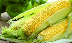 Ăn nhiều ngô ngọt có tốt không?