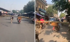 Video: Người đàn ông chở cây chuối theo cách không giống ai