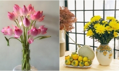Top 7 loại hoa nên dâng cúng Rằm tháng 7, loài hoa đầu tiên được nhiều người lựa chọn
