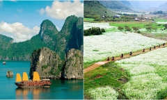 Địa điểm du lịch lý tưởng gần Hà Nội cho kỳ nghỉ Tết Nguyên đán Giáp Thìn 2024