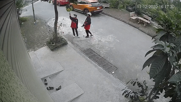 Hai cô gái thản nhiên găm dao vào chùm bưởi trước nhà dân để chụp ảnh 