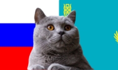 Nhận định soi kèo trận Slovenia vs Kazakhstan, Nations League 1h45 ngày 10/9: Mèo tiên tri có căn cứ