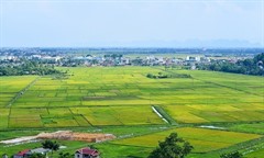 Đóng đủ tiền sử dụng đất trước 1/8/2024 có được tính lại, hoàn tiền theo quy định mới?