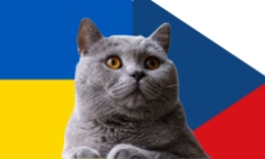 Nhận định soi kèo trận Séc vs Ukraine, Nations League 1h45 ngày 11/9: Mèo tiên tri suy ngẫm