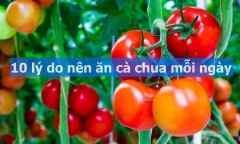10 lý do nên ăn cà chua mỗi ngày