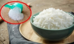 Trộn bột giặt với cơm nguội: Mẹo diệt gián hiệu quả