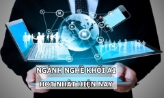 Điểm tên một số ngành nghề khối A1 