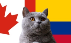 Nhận định soi kèo trận nữ Colombia-Canada Olympic Paris, 2h ngày 1/8: Mèo tiên tri lưỡng lự