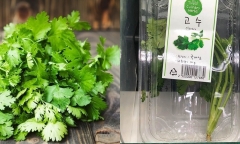 Loại rau gia vị rẻ tiền ở Việt Nam nhưng khi xuất ngoại lại được 