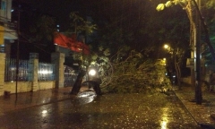 Những hình ảnh mới nhất về thiệt hại sau siêu bão Haiyan